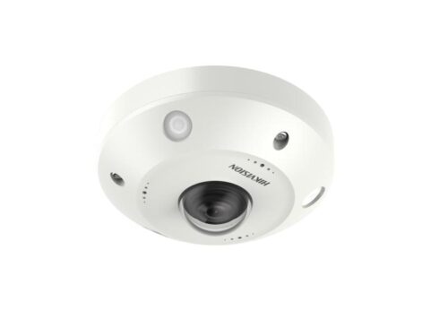Hikvision Mobile Fisheye Network Camera DS-2XM6365G0